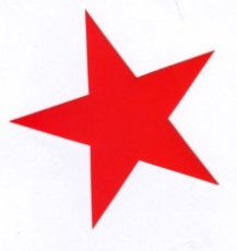 Aufkleber 11: Stern rot gross