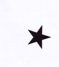 Aufkleber 17: Stern schwarz klein