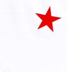 Aufkleber 16: Stern rot klein
