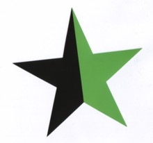 Aufkleber 14: Stern schwarz/grün gross