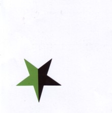 Aufkleber 19: Stern schwarz/grün klein